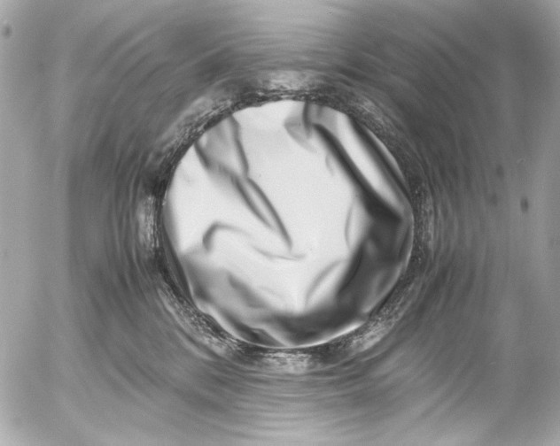 X0000054470328200508191734