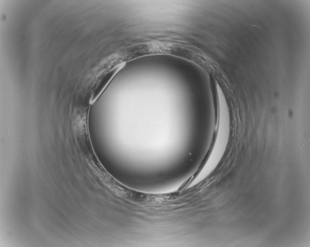 X0000054470329200508191734