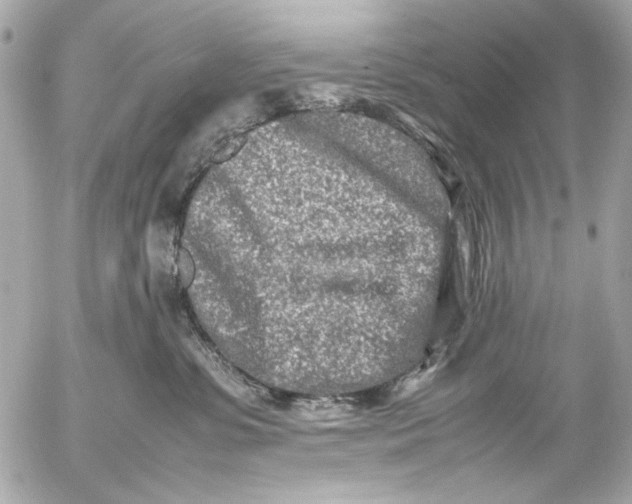 X0000054470331200508191734