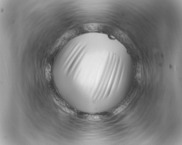 X0000054470332200508191734