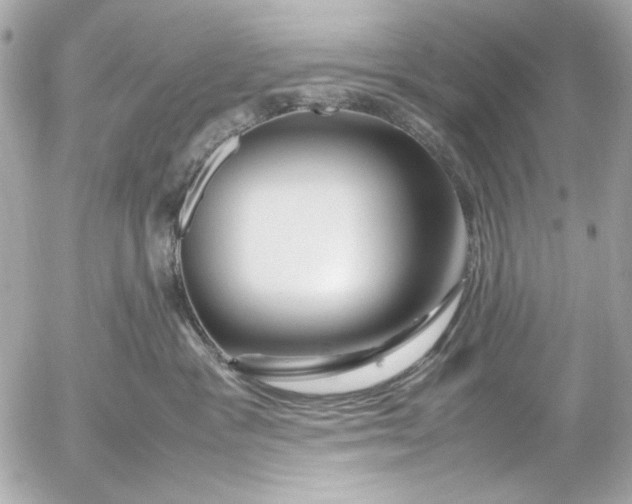 X0000054470333200508191734