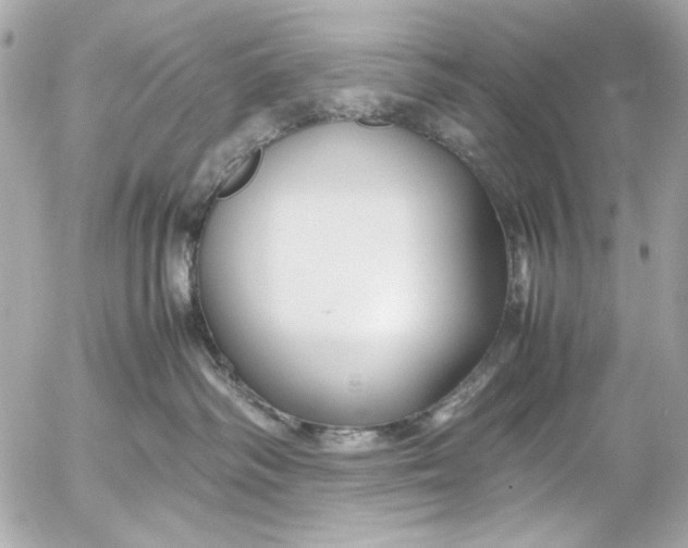 X0000054470334200508191734