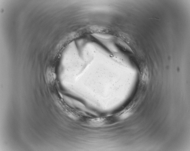 X0000054470335200508191734