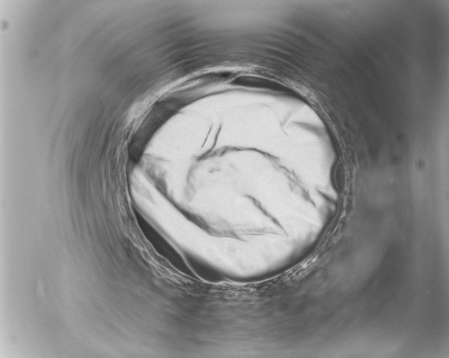 X0000054470337200508191733