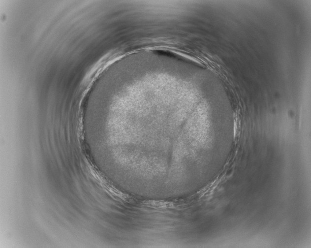 X0000054470339200508191733