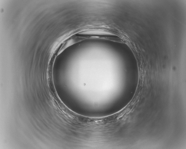 X0000054470340200508191733