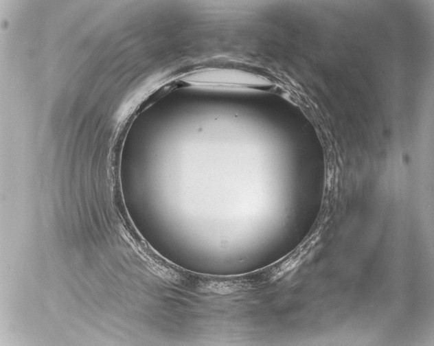 X0000054470341200508191733