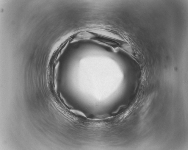 X0000054470342200508191733