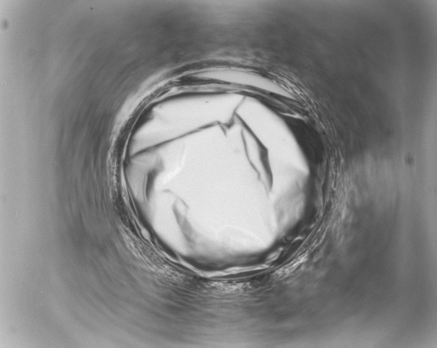 X0000054470343200508191733