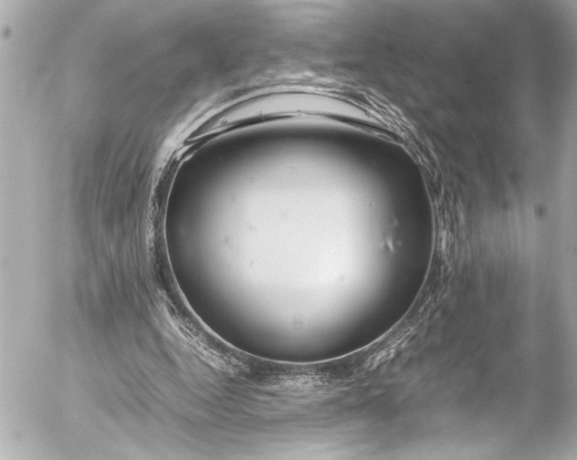 X0000054470344200508191733