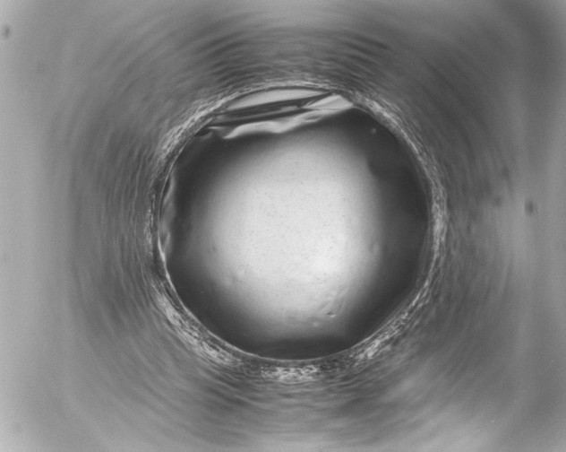 X0000054470345200508191733