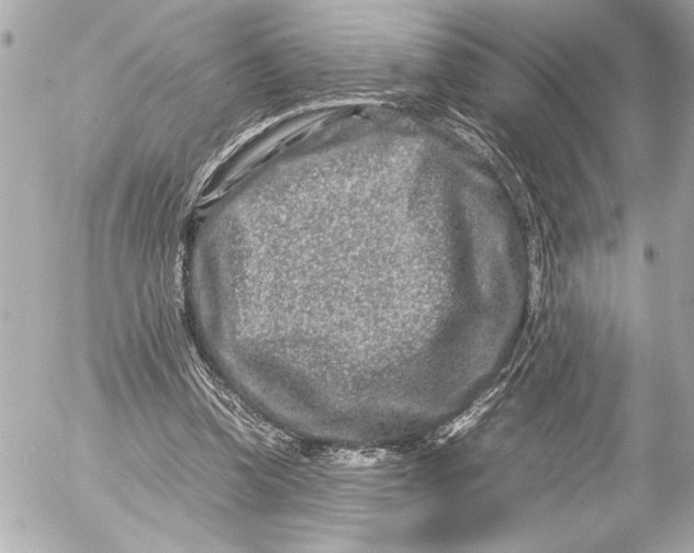 X0000054470346200508191733