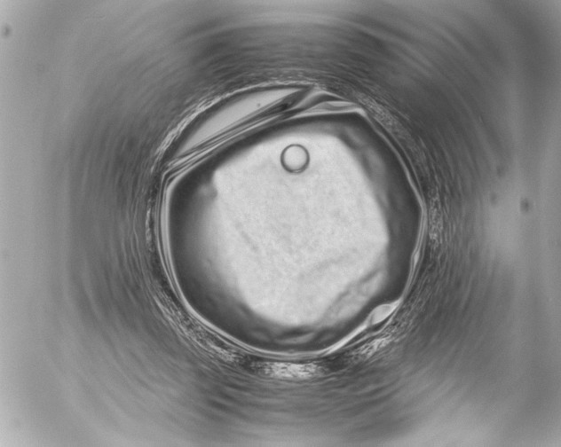 X0000054470347200508191733