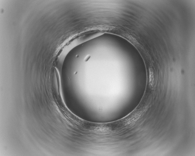 X0000054470348200508191734