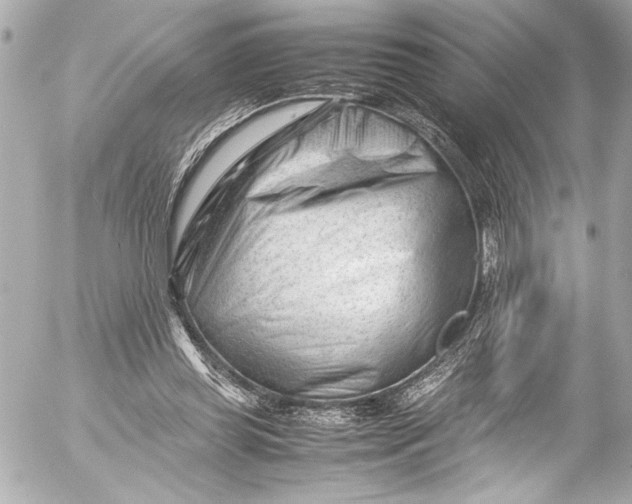 X0000054470349200508191734