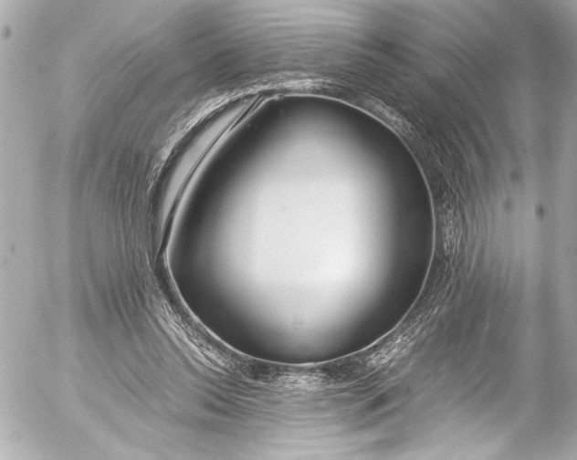 X0000054470350200508191734