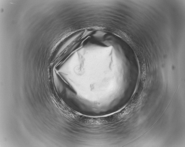 X0000054470351200508191734