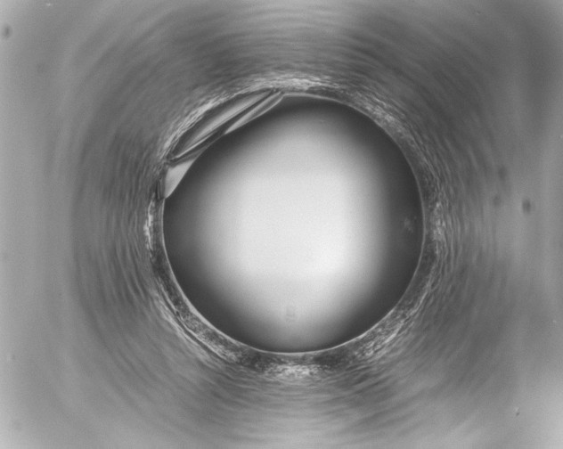 X0000054470352200508191734