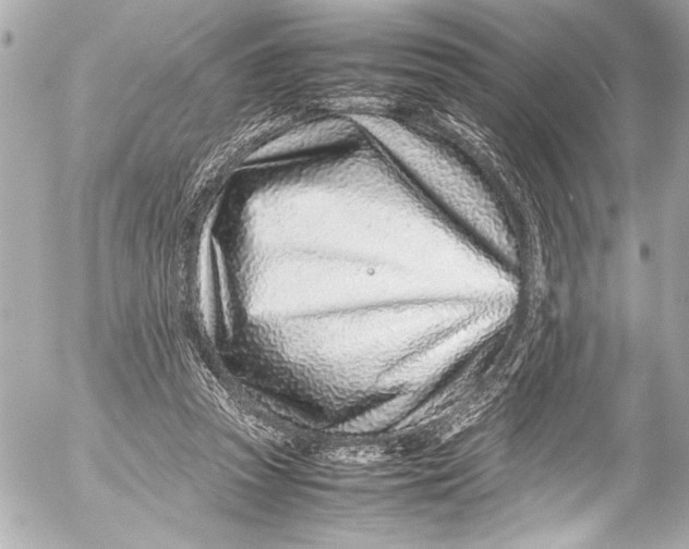 X0000054470353200508191734