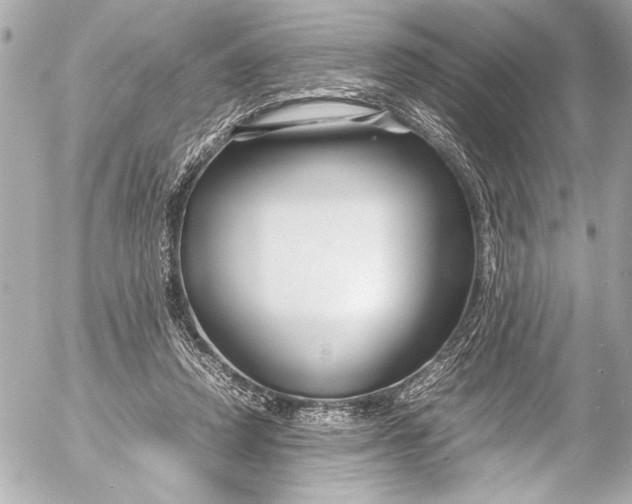 X0000054470354200508191734