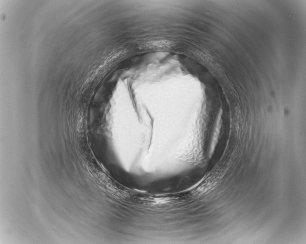 X0000054470355200508191734