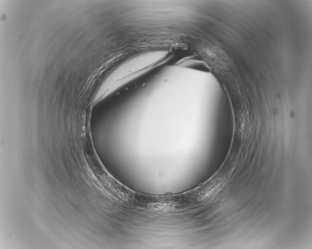 X0000054470356200508191734