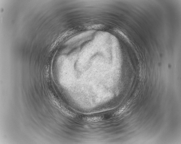 X0000054470357200508191734