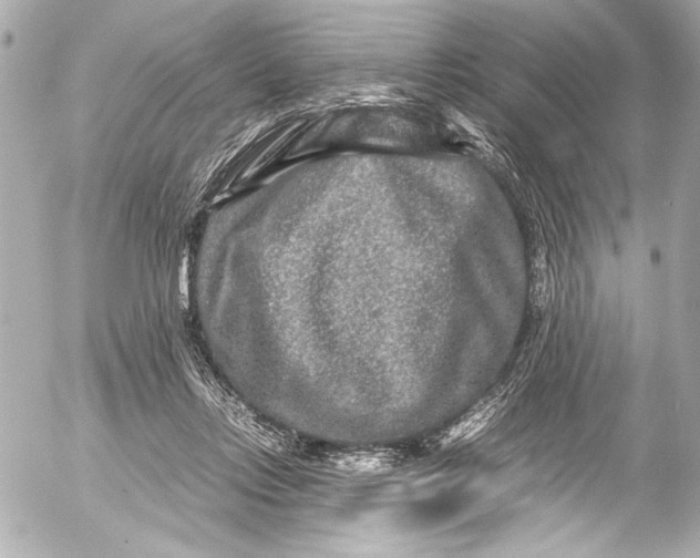 X0000054470358200508191734