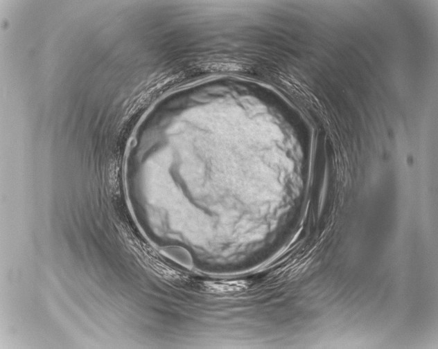 X0000054470359200508191734