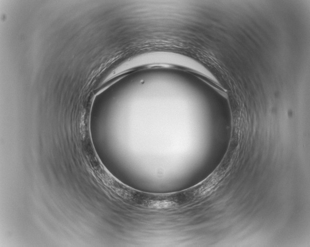 X0000054470360200508191734