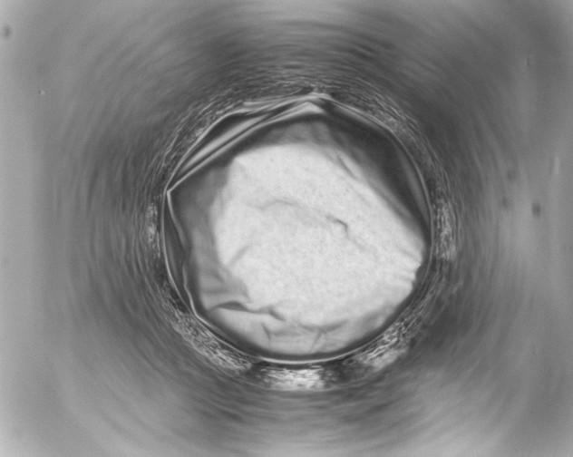 X0000054470361200508191734