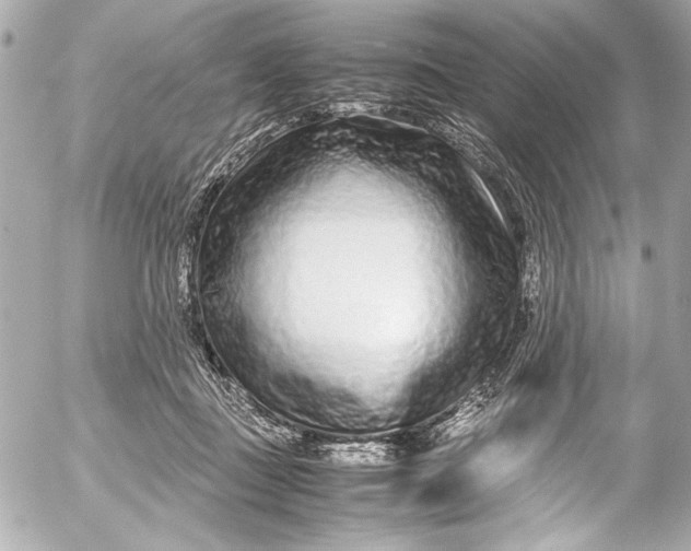 X0000054470363200508191734