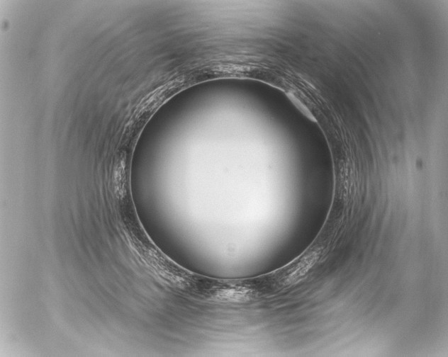 X0000054470364200508191734