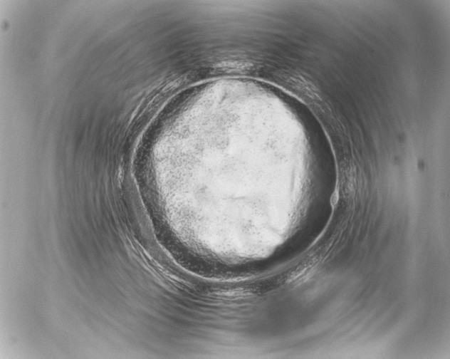 X0000054470365200508191734