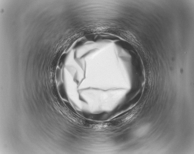 X0000054470366200508191734