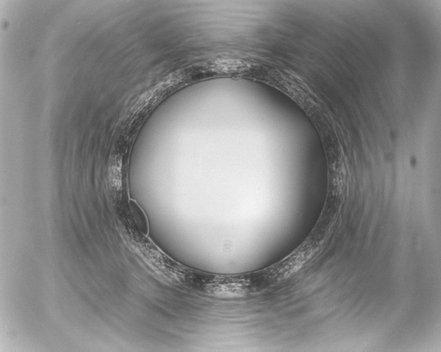 X0000054470368200508191734