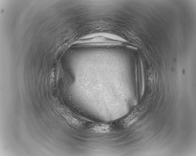 X0000054470369200508191734