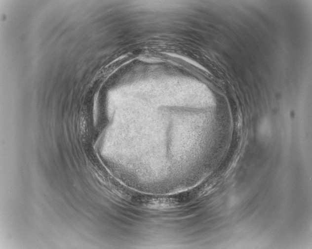 X0000054470371200508191734