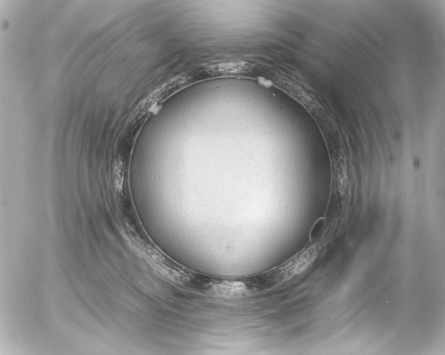 X0000054470374200508191734