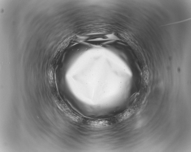 X0000054470375200508191734