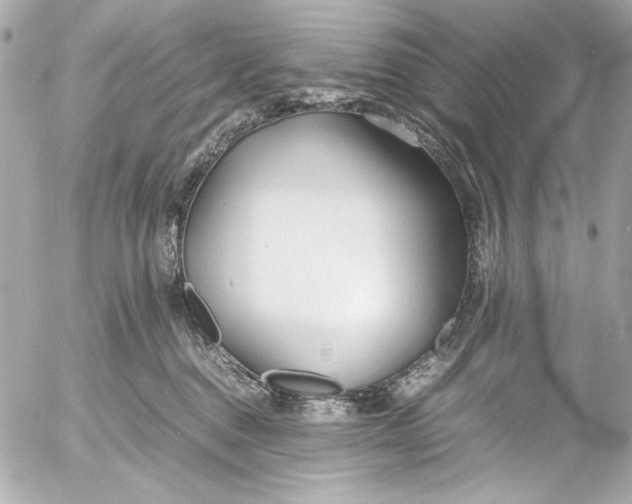 X0000054470376200508191734