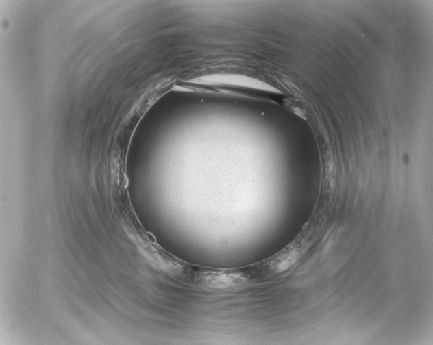 X0000054470379200508191734