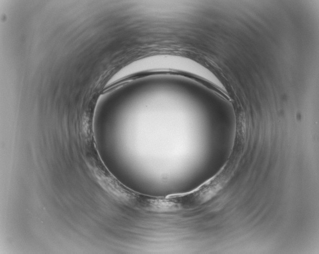 X0000054470380200508191734