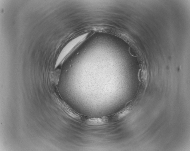 X0000054470381200508191734