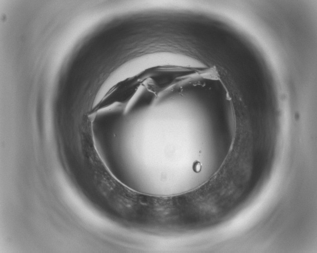 X0000054470382200508191734