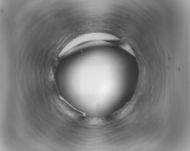 X0000054470384200508191734