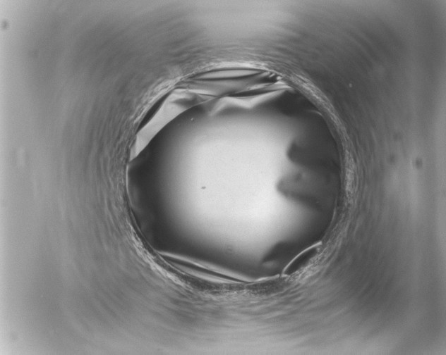 X0000054470385200508191733