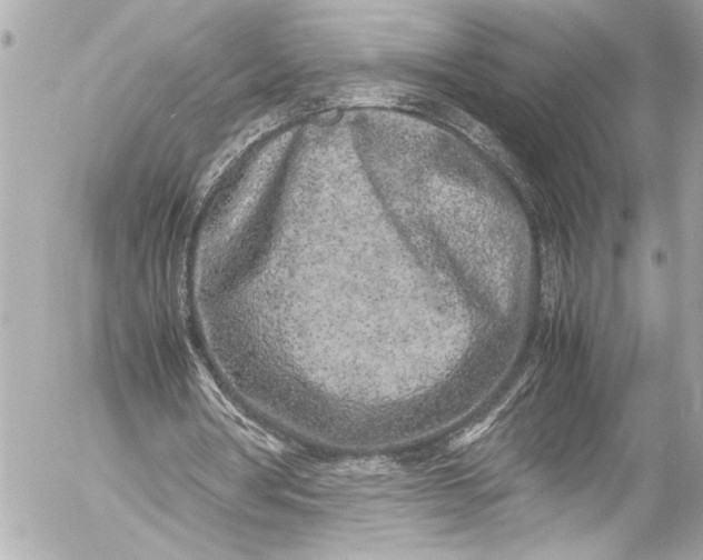 X0000054470386200508191733