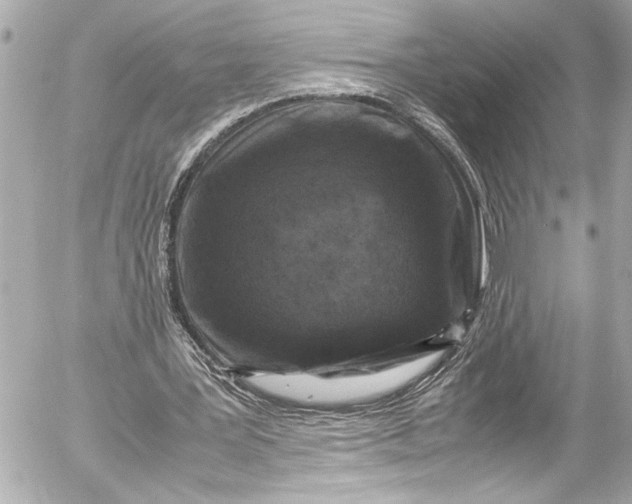 X0000054470387200508191733