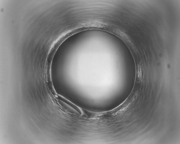 X0000054470388200508191733